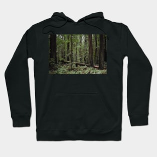 California Redwoods Hoodie